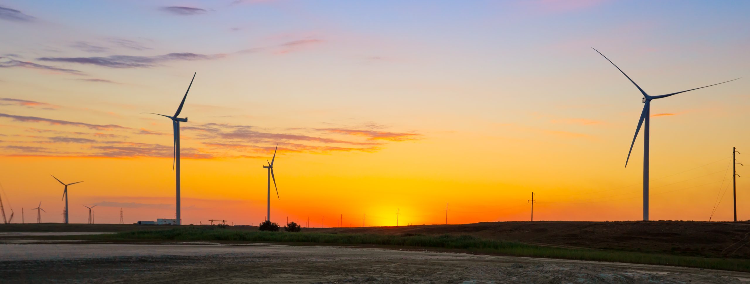 Wind generators of the ecological power plant at sunset